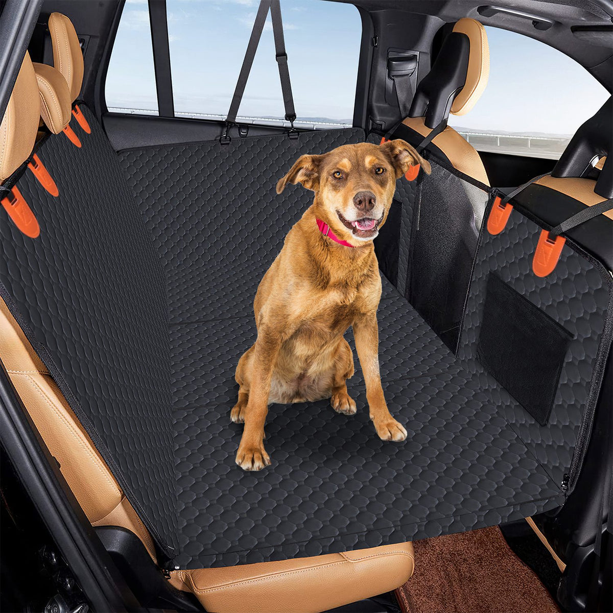 Dog sitting on the RoadPaw platform in an SUV back seat